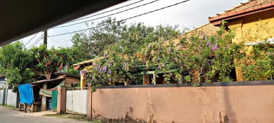 Ahungalla - Photo 4