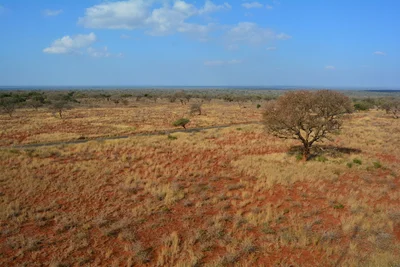 Mkuze Game Reserve - Photo 3