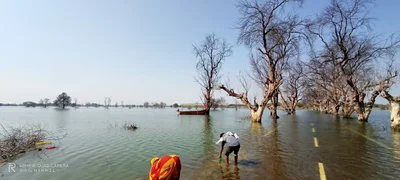 Barwani - Photo 5