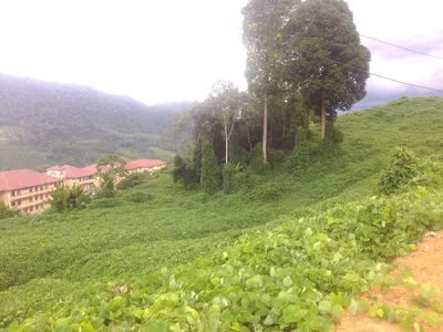 Sepulut - Photo 2