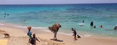 Baru - Photo 4