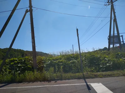 Sunagawa - Photo 5