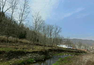 Shangluo - Photo 5