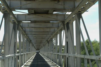 Seddon - Photo 3