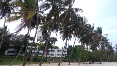 Tiwi - Photo 2