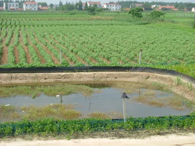 Rudong County - Photo 3