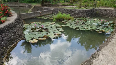 Atimonan - Photo 2