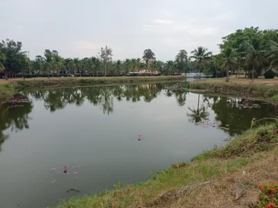 Yasothon - Photo 3