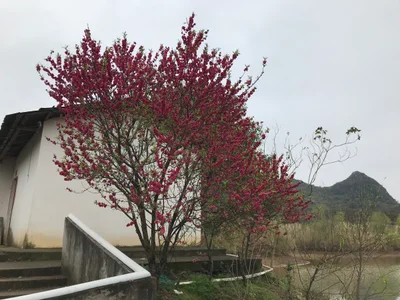 Gongcheng - Photo 4