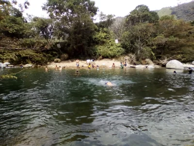 Taraza - Photo 4