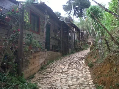 Guadalupe - Photo 3