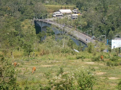 Pelaga - Photo 2