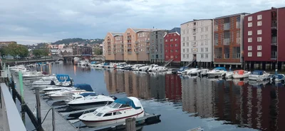 Trøndelag - Photo 5