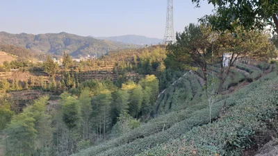 Datian County - Photo 5