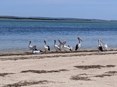 Bairds Bay - Photo 2
