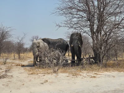 Nxai Pan National Park - Photo 2