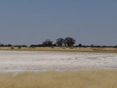 Nxai Pan National Park - Photo 5
