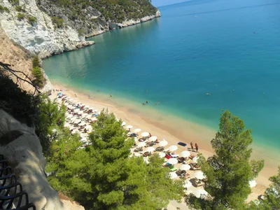 Mattinata - Photo 2
