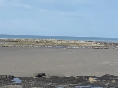Bahia Creek - Photo 2