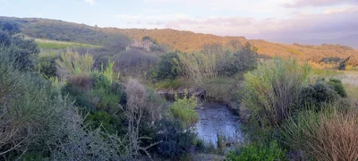 Rosignano Marittimo - Photo 2