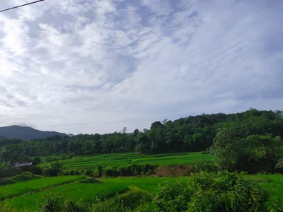 Leuwidamar - Photo 2