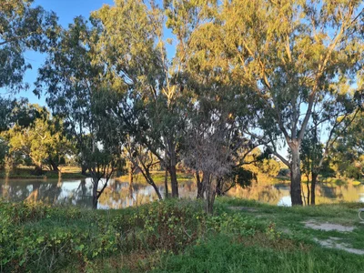 North Bourke - Photo 3