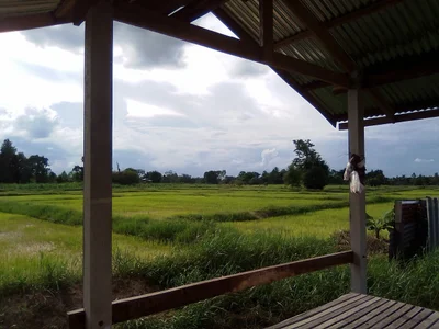 Khok Si Suphan - Photo 5
