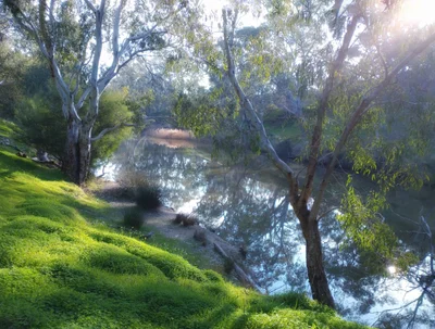 Axedale - Photo 2