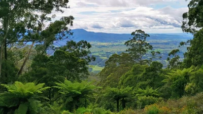 Bemboka - Photo 4