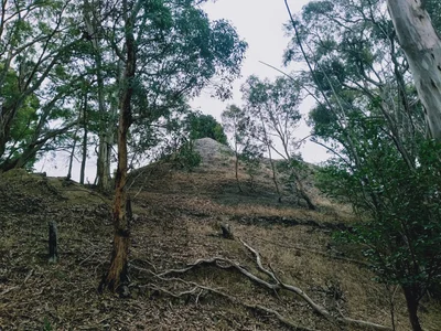 Sutherlands Creek - Photo 3