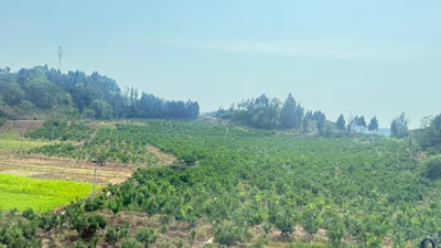 Jianyang City - Photo 3