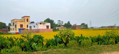 Katoya - Photo 5