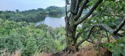 Awjilah - Photo 5