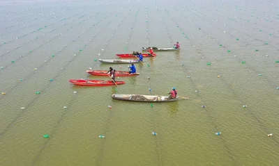 Sihong County - Photo 2