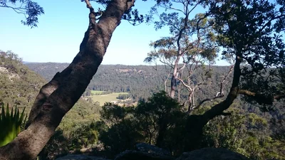 Glenworth Valley - Photo 3