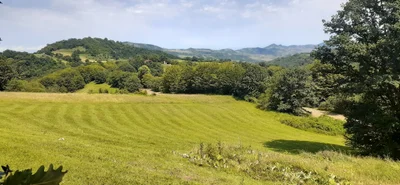 Noyemberyan - Photo 3