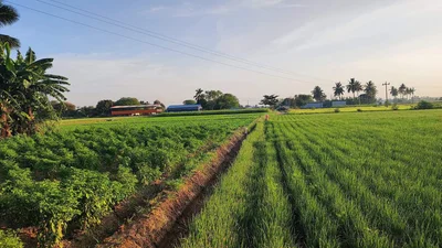 Perambalur District - Photo 2