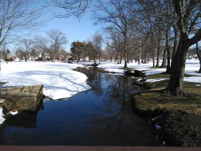 Valley Stream - Photo 3