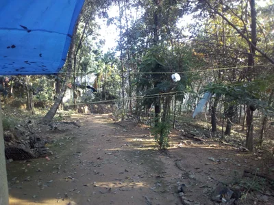 Piramadam - Photo 2