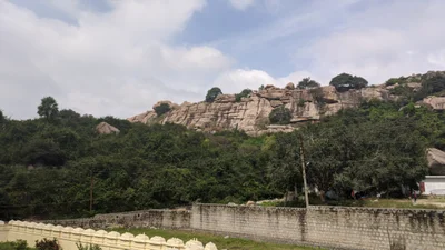 Aragonda - Photo 3