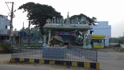Aragonda - Photo 4