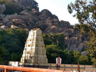 Aragonda - Photo 5