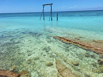 Heron Island - Photo 2