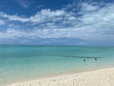 Heron Island - Photo 3