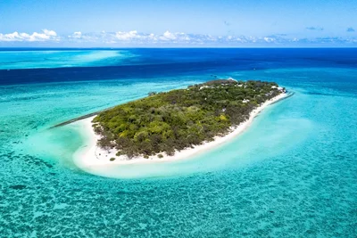 Heron Island - Photo 5