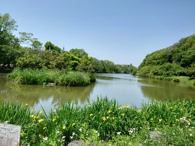Ichikawa - Photo 2