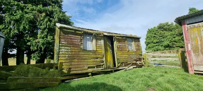 Norsewood - Photo 5