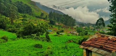 The Nilgiris District - Photo 4