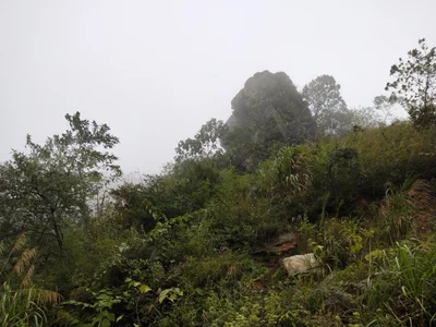 Xiangxiang - Photo 3