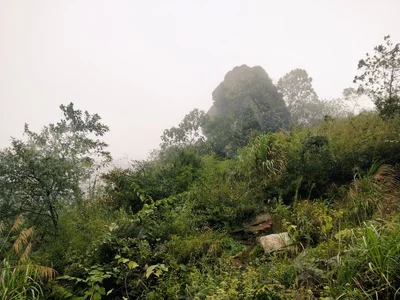 Xiangxiang - Photo 5